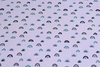 Cotton Jersey Little Rainbow Light Rose