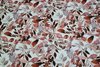 Organic Cotton Jersey Digital Flowers White