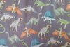 Cotton Jersey Digital Dino Grey