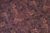 Viscose Stretch Flowers Mauve