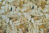 Viscose Crepe Java Yellow