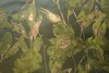 Jacquard Flower Multi-Green