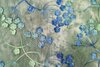 Cord Embroidery Twigs Tie Dye Green-Multi