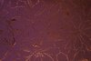 Jacquard Flower Bordeaux