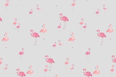 Cotton Jersey Digital Flamingo Light Grey