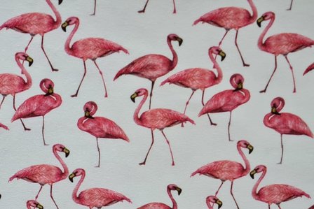 Cotton Jersey Digital Flamingo Off White