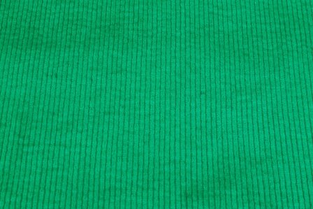 Washed Stretch-Cord Apple Green