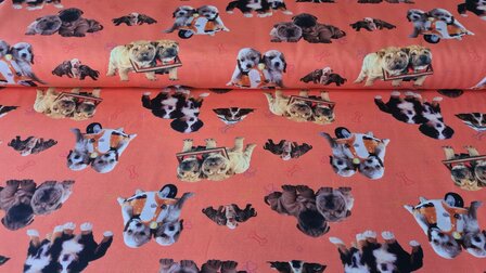 Cotton Jersey Digital Puppies Orange