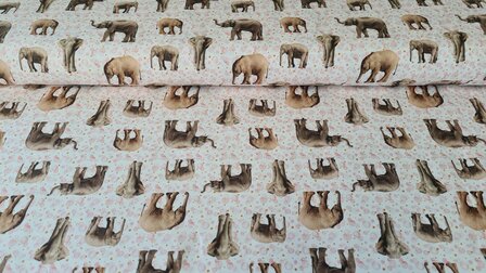 Cotton Jersey Digital Elephants