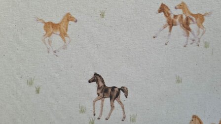 Organic Cotton Jersey Digital Horses