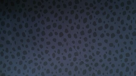 Soft Shell Digital Spots Antra