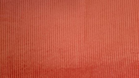 Washed Stretch-Cord Orange