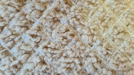 Shiny Teddy Beige