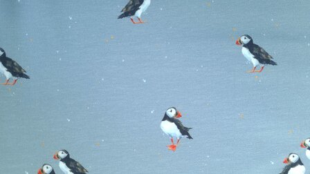 Cotton Jersey Birds Blue