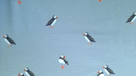 Cotton Jersey Birds Blue