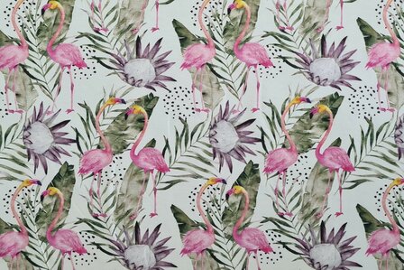 Cotton Jersey Flamingo White