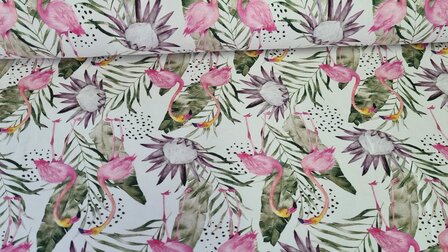 Cotton Jersey Flamingo White