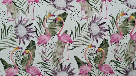 Cotton Jersey Flamingo White