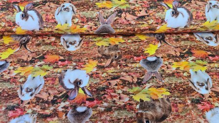 Cotton Jersey Digital Rabbits