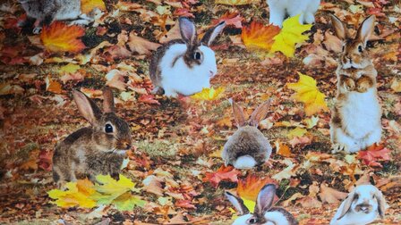 Cotton Jersey Digital Rabbits