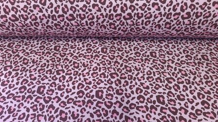 Soft Shell Leo Old Ros&eacute;