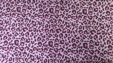 Soft Shell Leo Old Ros&eacute;