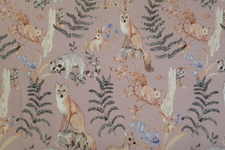 Organic Cotton Jersey Forest Animals 