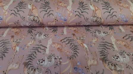Organic Cotton Jersey Forest Animals 