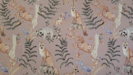 Organic Cotton Jersey Forest Animals 