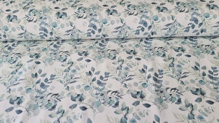 Cotton Jersey Eucalyptus Mint