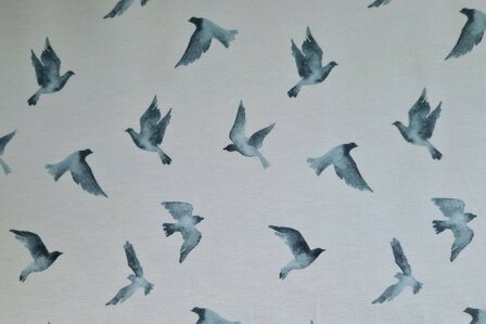 Cotton Jersey Digital Birds Blue