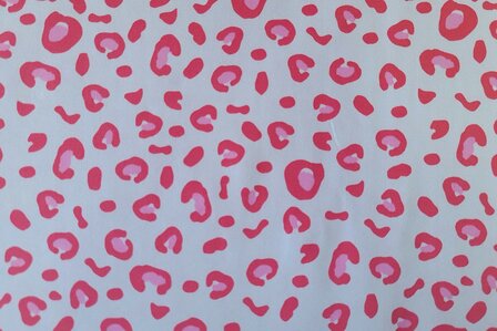 Cotton Jersey Mini Leo Coral