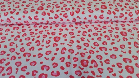 Cotton Jersey Mini Leo Coral