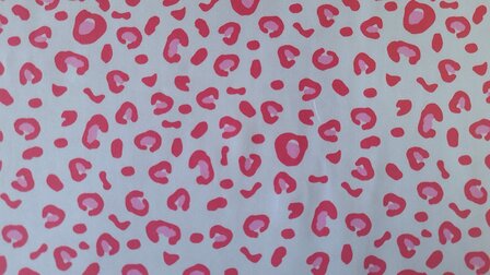 Cotton Jersey Mini Leo Coral