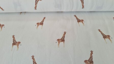 Cotton Jersey Giraffe Off White