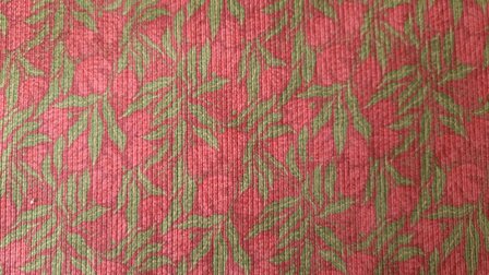 Stretch-Cord Meadow Green-Red