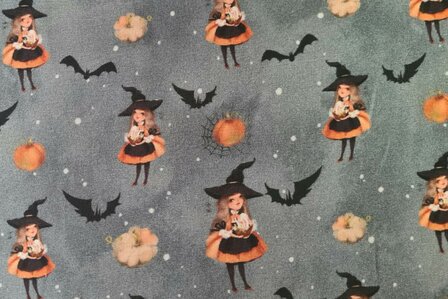 Cotton Jersey Halloween Witch Grey