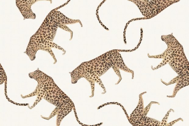Cotton Jersey Digital Cheetah Off White