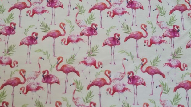 Organic Cotton Jersey Digital Flamingo