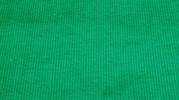 Washed Stretch-Cord Apple Green