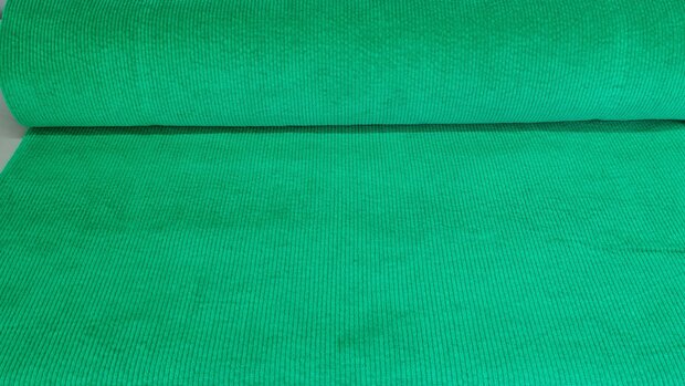 Washed Stretch-Cord Apple Green