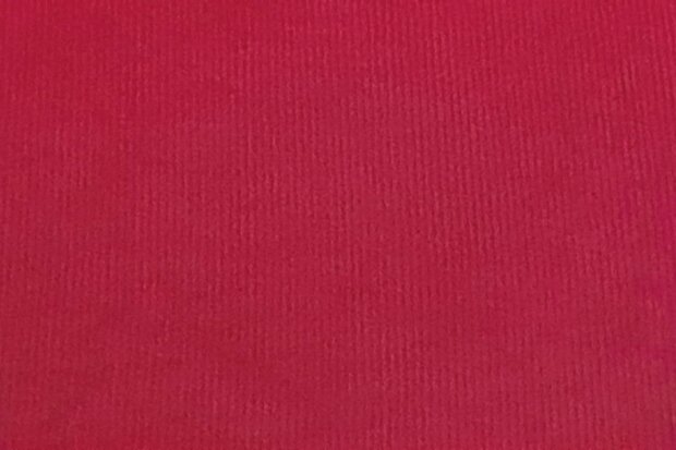 Washed stretch Fine-Cord Red