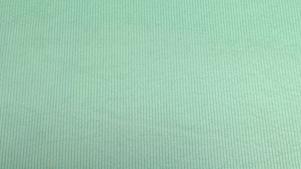 Washed Stretch-Cord Mint Green