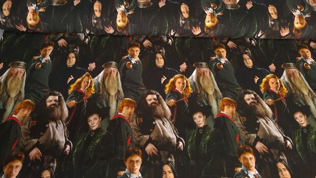 Cotton Jersey Harry Potter Painting