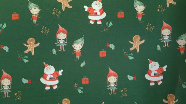 Cotton Jersey Santa & Friends