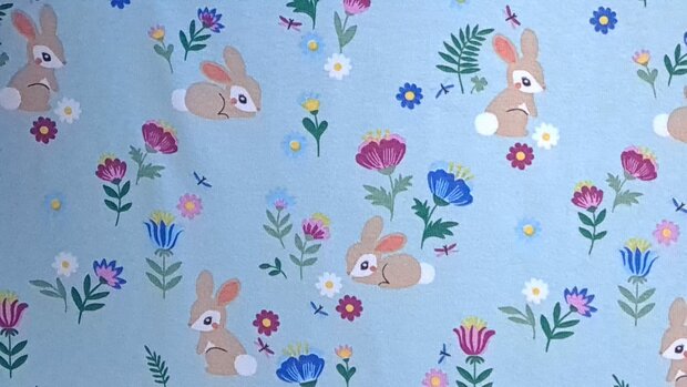 Cotton Jersey Bunny Blue/Mint