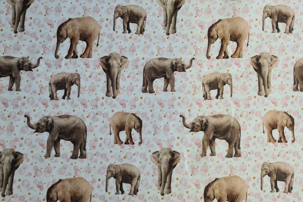 Cotton Jersey Digital Elephants