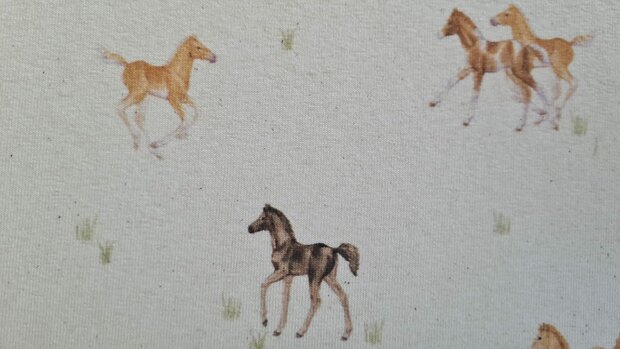 Organic Cotton Jersey Digital Horses