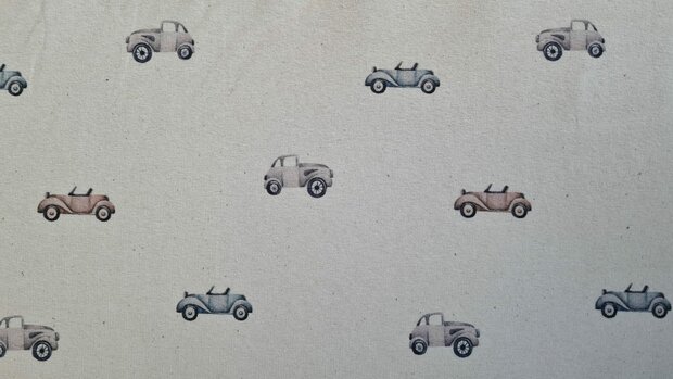 Organic Cotton Jersey Digital Cars