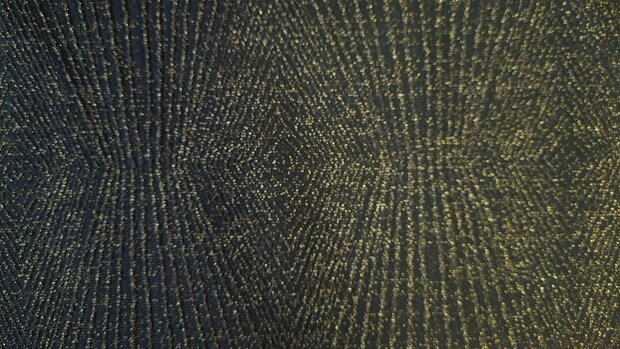 Knitted Punta Glitter Gold